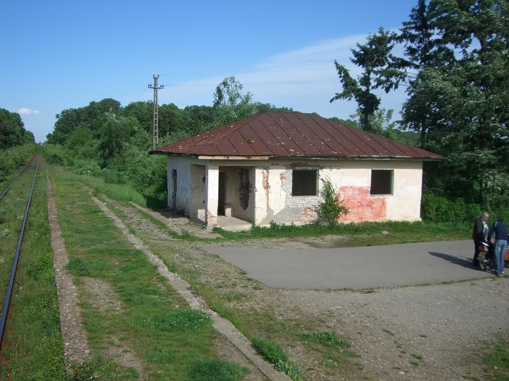 302 : Ploiesti Sud - Targoviste CIMG2314