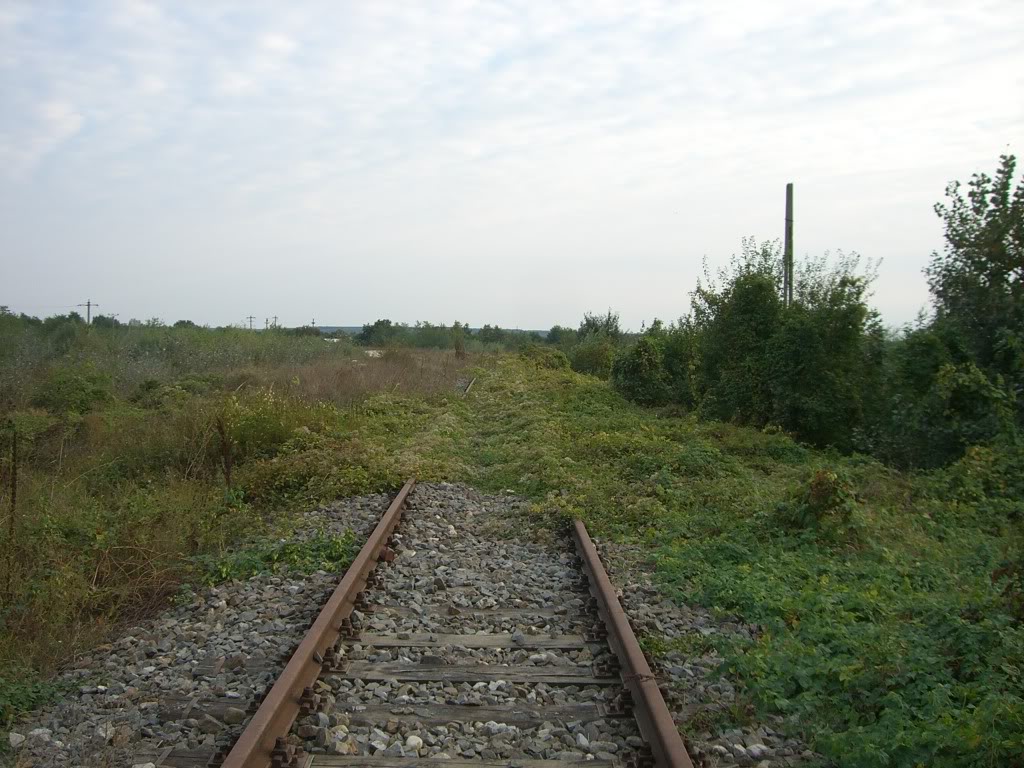 102 : Bucuresti Progresu - Giurgiu Nord - Giurgiu CIMG4525