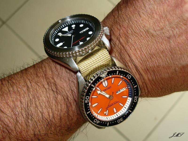 Montres sur Nato only IMG_1967