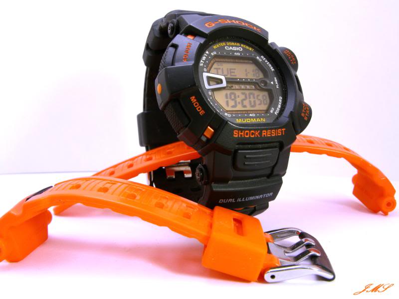 Une G shock mais laquelle? Mudman, Gulfman ou Frogman ? IMG_6127