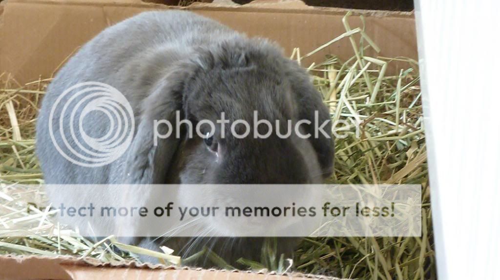 Your buns then, and now Dougal65_zpsfdb6417a