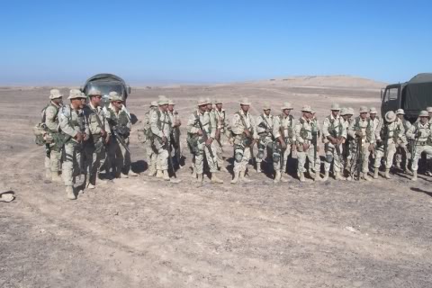 Armée Chilienne / Chile's armed forces / Fuerzas Armadas de Chile 100_4230