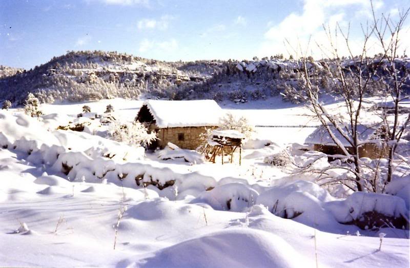 Paisajes nevados Creel19oe