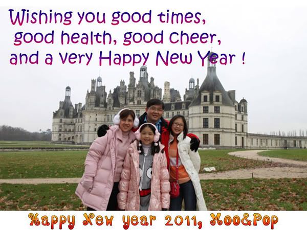 Happy New Year  2011 1-1