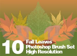 High Res Real Leaf Brushes Fallleaves_banner