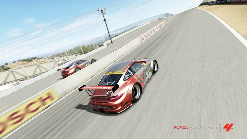 TORA MSA ISCC Season 4 - Media - Page 6 Lizards