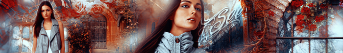 Reto Nº 27 / Banner - Firma - Icons / Dimka & Morgan Garden