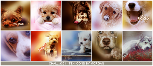 Chall # 321 - Icons - Mascotas [AWARDS] Lienzo-4