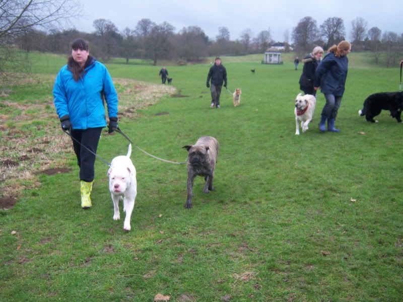 Mote Park Walk - Sunday 13th Feb 2011, 10 a.m.  0c216a60