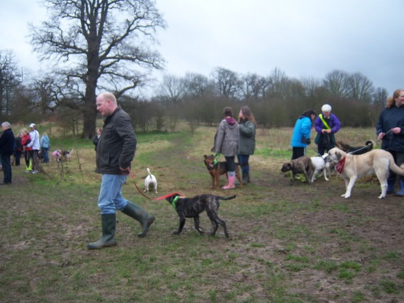 Mote Park Walk - Sunday 13th Feb 2011, 10 a.m.  1ddf3412