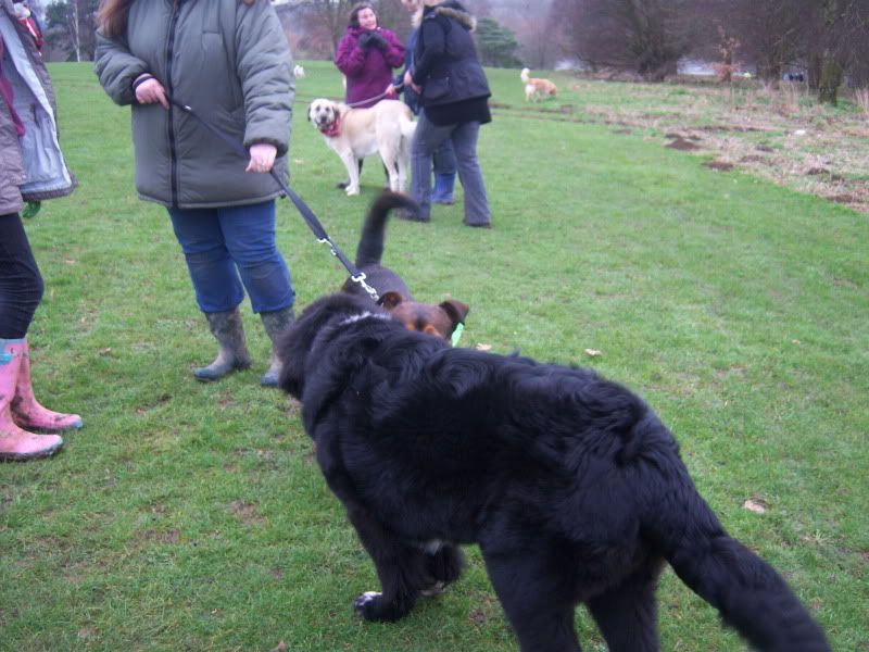 Mote Park Walk - Sunday 13th Feb 2011, 10 a.m.  46e71fc1