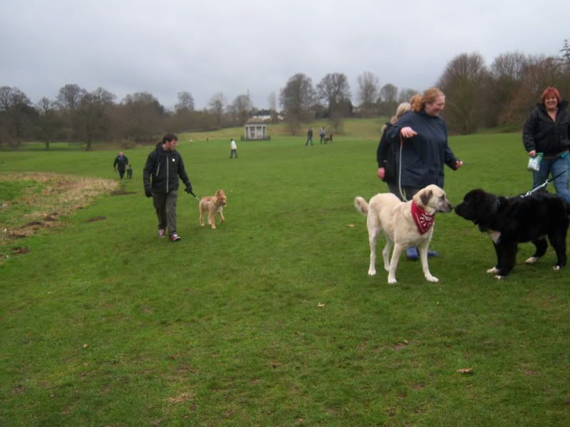 Mote Park Walk - Sunday 13th Feb 2011, 10 a.m.  5c6107a9