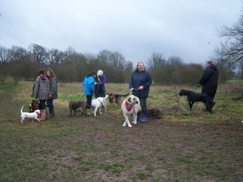 Mote Park Walk - Sunday 13th Feb 2011, 10 a.m.  67b03b8d