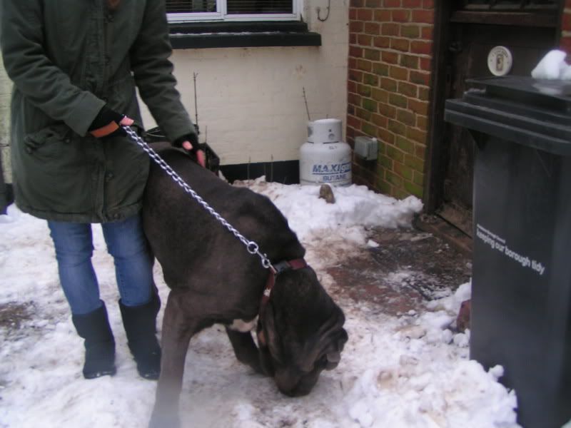 BLU - Neo Male - HOMED 95efd285