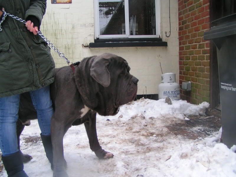 BLU - Neo Male - HOMED A5410511