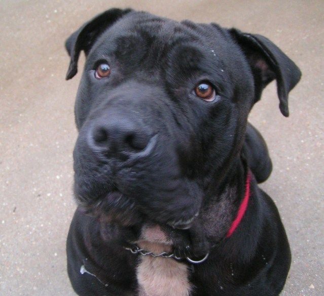 Kane - HOMED !  021_zps2c924084