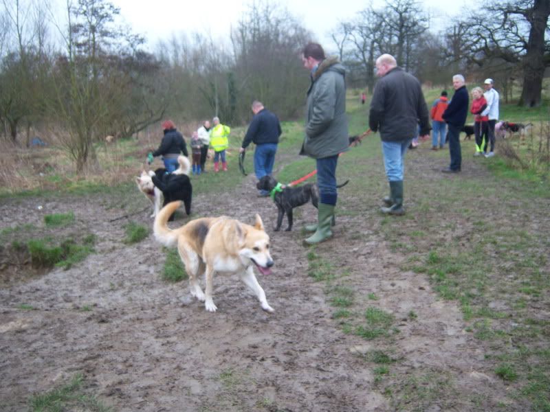 Mote Park Walk - Sunday 13th Feb 2011, 10 a.m.  E41d9326