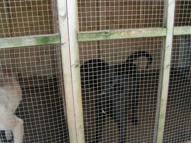 Shade - HOMED C47a946b