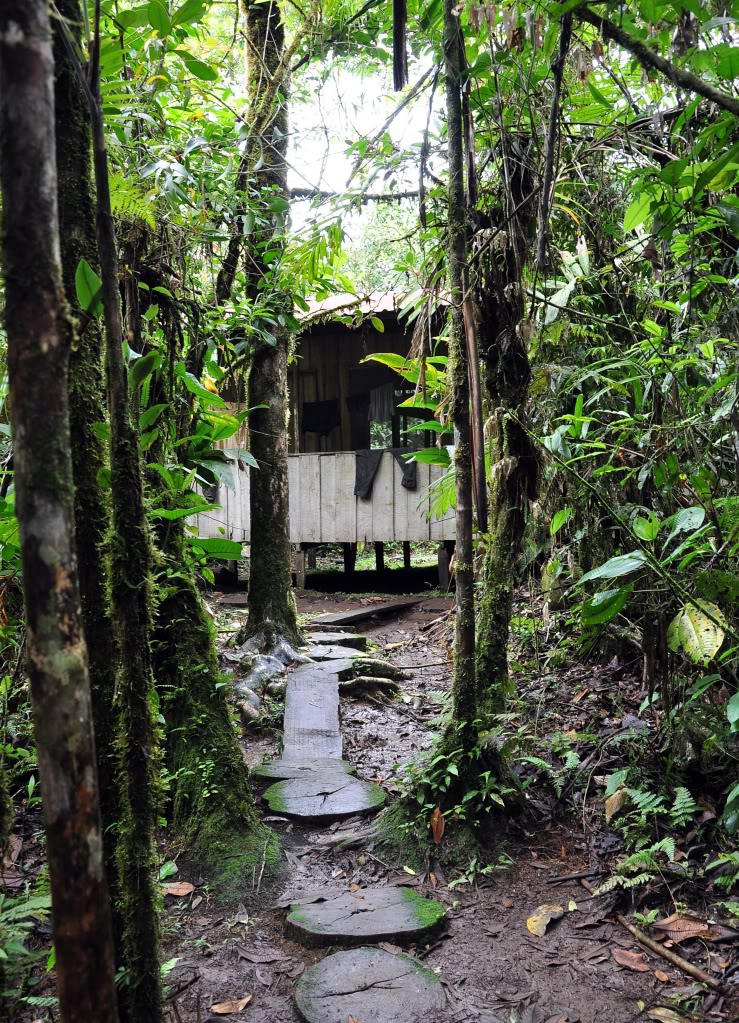 Costa Rica Herp-Trip CostaRica988