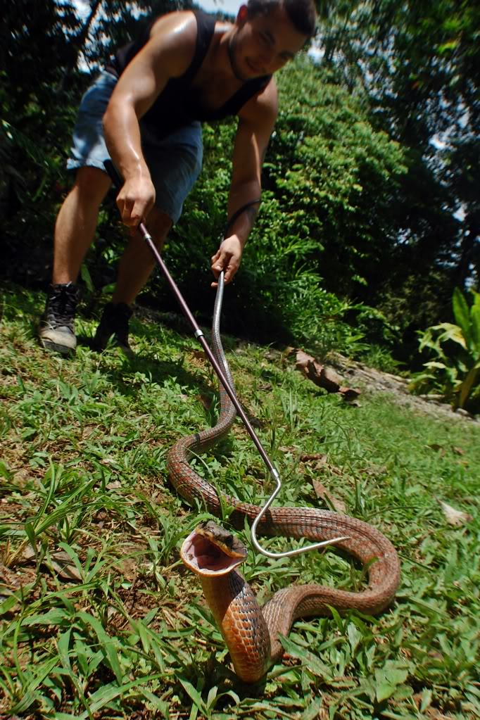 Costa Rica Herp-Trip DSC_6388