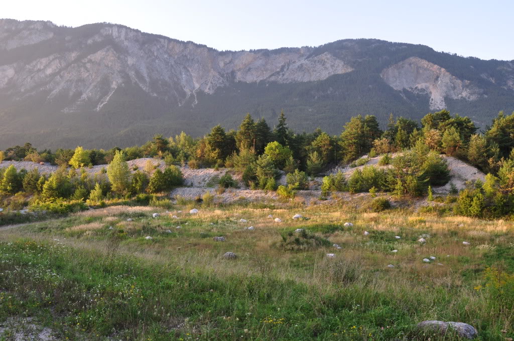 Herping in Carinthia, Austria... Update 2013 ;) HabitatVaammodytes3