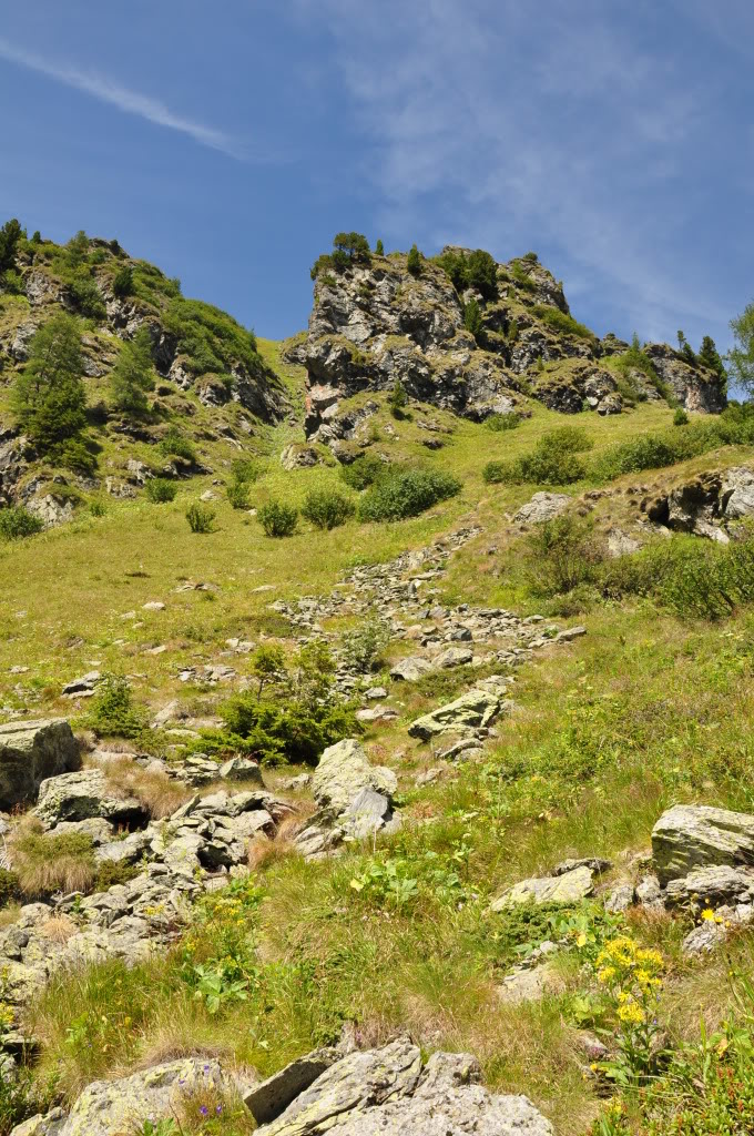 Herping in Carinthia, Austria... Update 2013 ;) HabitatVberus3-1