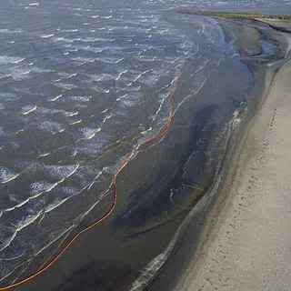 Disastro ecologico Golfo del Mexico - Cercasi amanti del mare e della fauna marina Mareanera