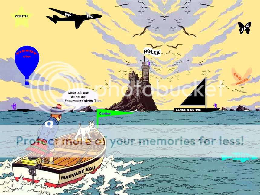 Ceux qui sont là depuis le début se souviendront TintinenmerForumamontres