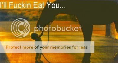 Photo Sharing and Video Hosting at Photobucket