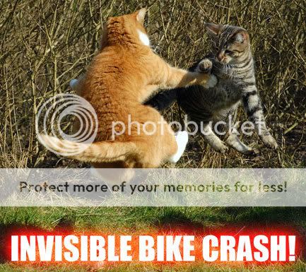 LAWL Cats Thread Invisble_bike_crash