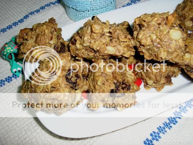 bolachas de muesli PB130002