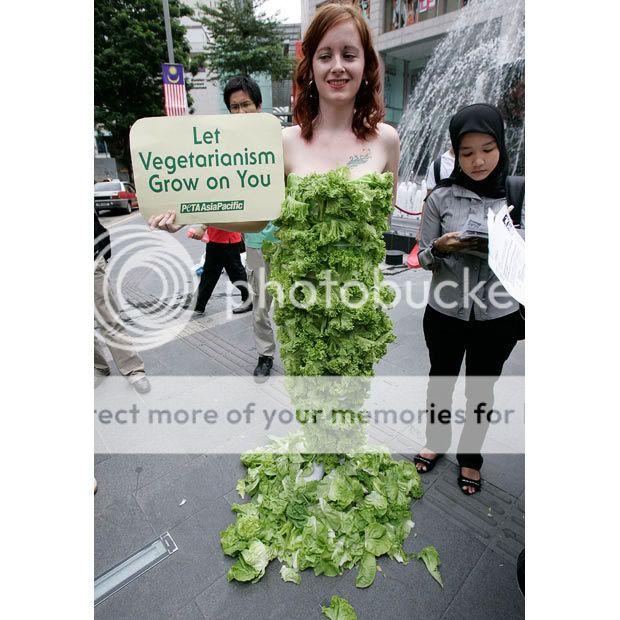 هنا اقتراحي ومن لديه اقتراح Lettuce-dress_1473386i