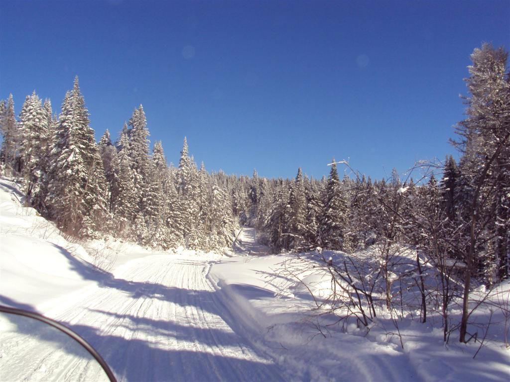 Ste-Émilie/St-Côme/Montagne noire St-Donat/Parc Mt-tremblant photo report 6/2/2010 DSC00451Large