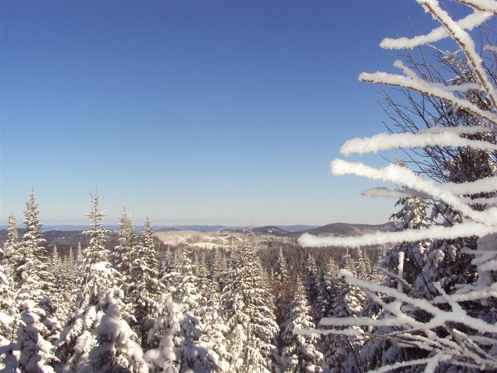 Ste-Émilie/St-Côme/Montagne noire St-Donat/Parc Mt-tremblant photo report 6/2/2010 DSC00495Large