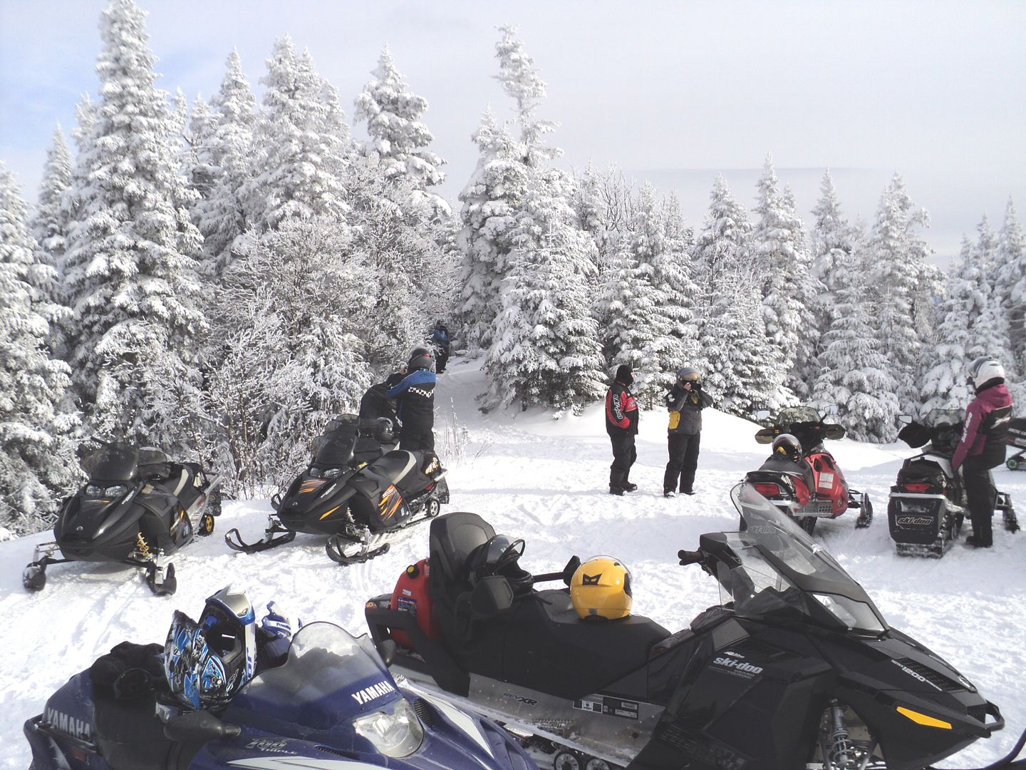 St-Zenon/ Parc Mt-Tremblant/ St-donat--Montagne Noire 22 janvier 2011 photo ride report DSC09043