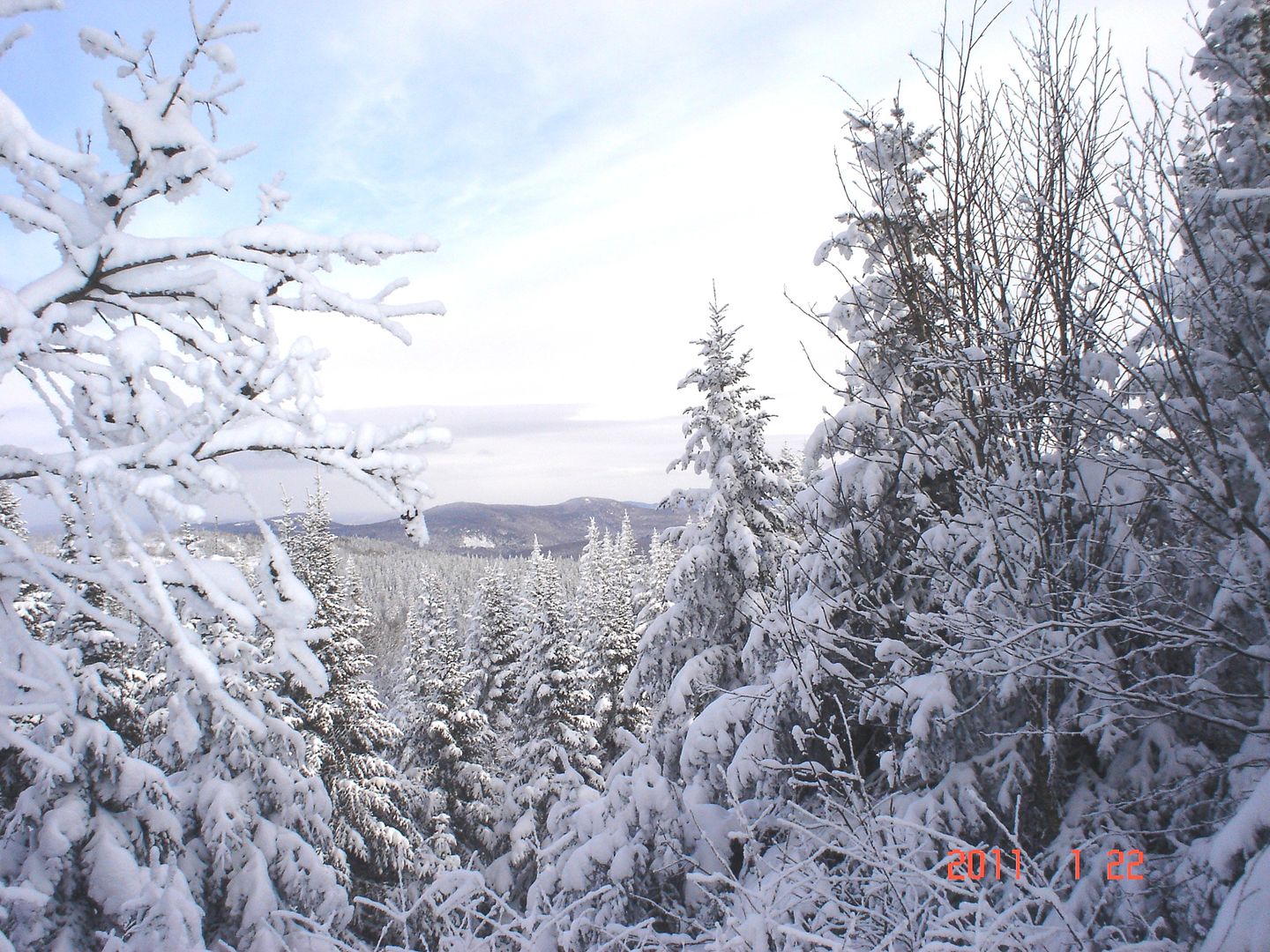 St-Zenon/ Parc Mt-Tremblant/ St-donat--Montagne Noire 22 janvier 2011 photo ride report DSC09057