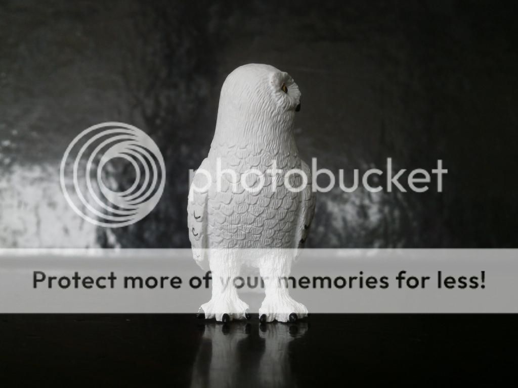 mojo - Mojo 2014 Snowy owl walkaround by ulinuk P8173964_zpsf1cda478