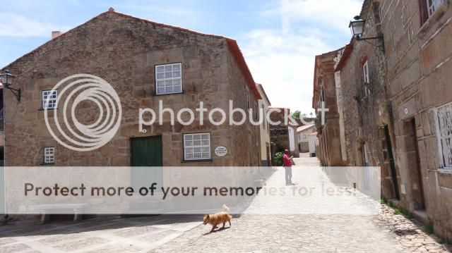 [FOTO REPORT] - Rota do Coa e da Linha do Sabor - 01 a 05JUNHO2014 DSC01535_zps92325843