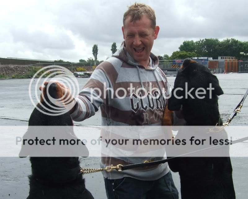 Fife Rottweiler Rescue: Yogi's Sponsored Parachute Jump Yogi