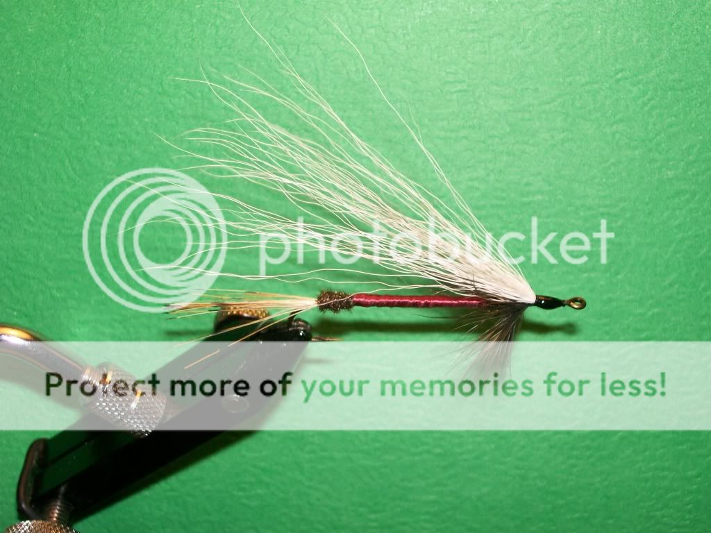 $10.00 pr doz flies your choice 100_3170