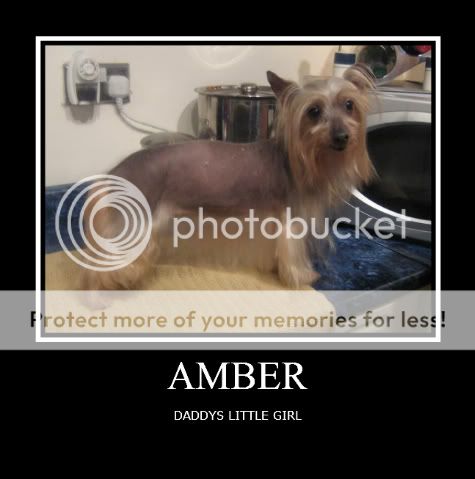 Vote for 2 pictures of Amber for the calendar please IMG_1844-1