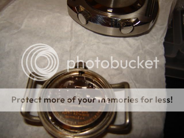 Photo Sharing and Video Hosting at Photobucket