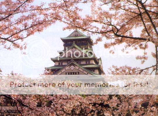 Japonya Fotografları - Sayfa 3 2-13