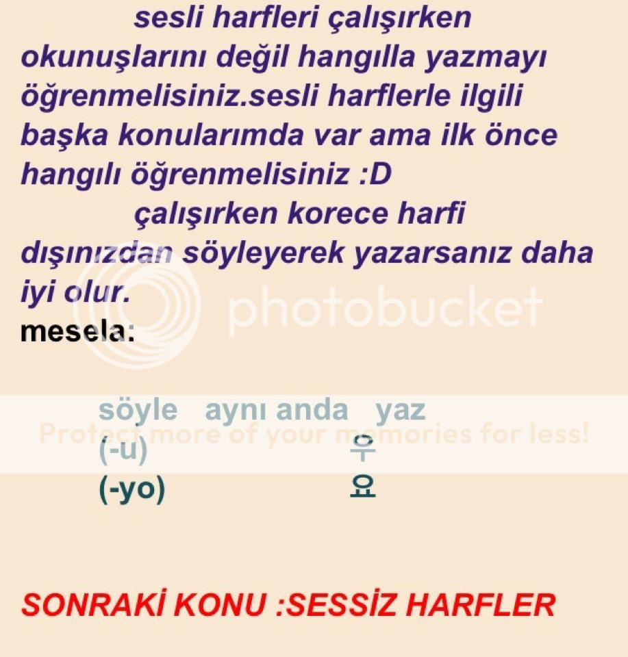 Korece Dersleri - Sayfa 2 538386_365639183515963_712750645_n