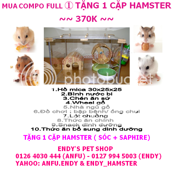 Endy's Pet Shop-Tặng 1 cặp hamster khi mua compo đầy đủ.. HAMSTERVN1