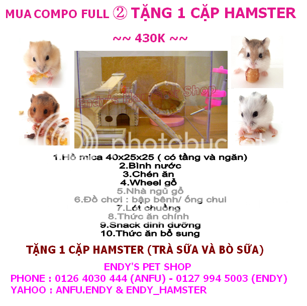 Endy's Pet Shop-Tặng 1 cặp hamster khi mua compo đầy đủ.. HAMSTERVN2