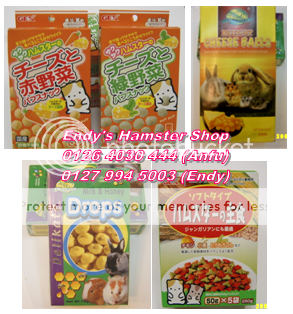 Endy's Pet Shop] - Hamster, Chuồng nuôi, Thức ăn, Đồ Chơi và Vật Dụng Cheesemilk