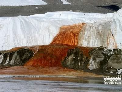 لغز شلالات الدم في القاره القطبيه الجنوبيه Blood-falls_2269_large_slideshow