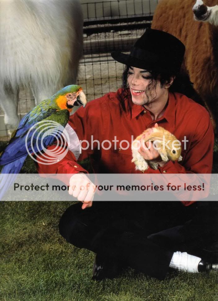 Michael's smile! - Pagina 2 MORE-of-Michael-s-WONDERFUL-Smile-michael-jacksons-smile-12401439-703-968