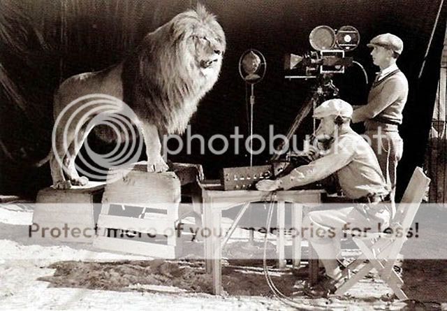 LION - panthera leo - Page 3 Shooting-the-mgm-logo-1924